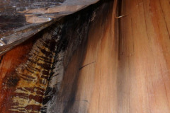 Rotten wood from leaking