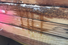 leak from window