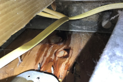 Inner wall leak from an exterior light