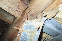 Forensic Water intrusion Testing Los Angeles