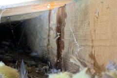 Stucco wall leaks Los Angeles