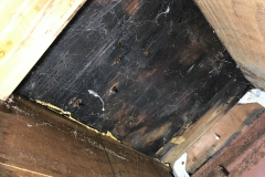 Water damaged wood | WIS