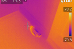 Infrared image shows water infiltration  / 501.2 water testing in Los Angeles