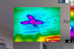 Water intrusion visible on ceiling