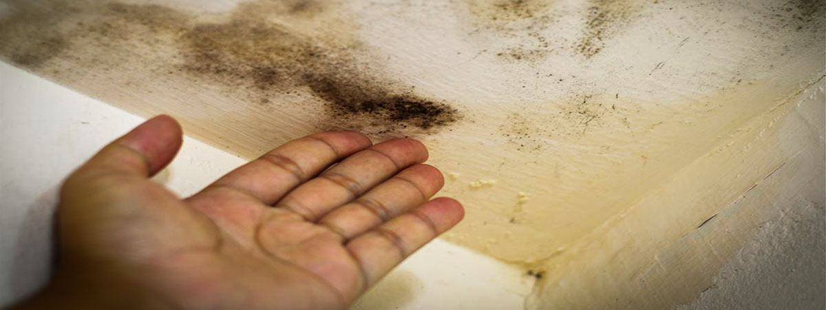 Common Causes Of Ceiling Stains