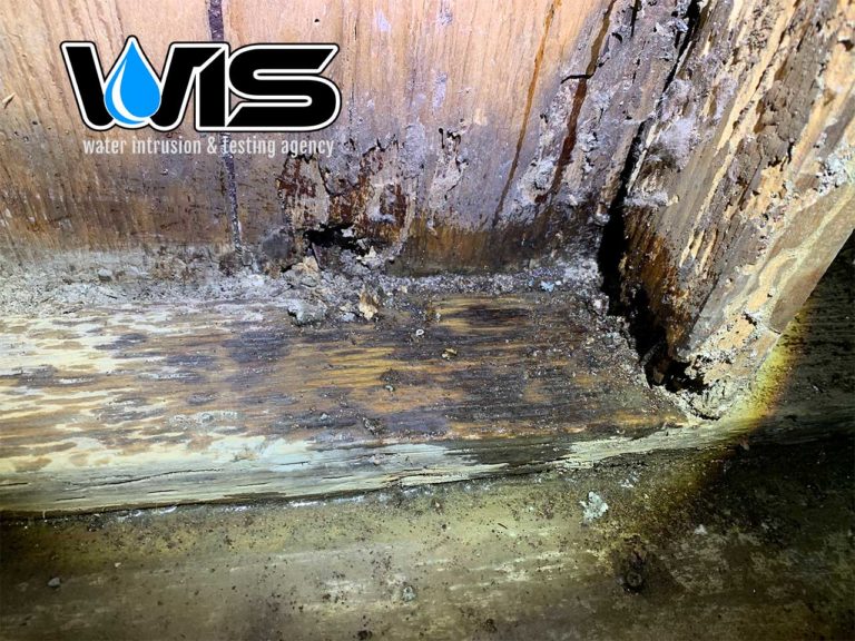 Water Intrusion Specialist Near Me Water Intrusion